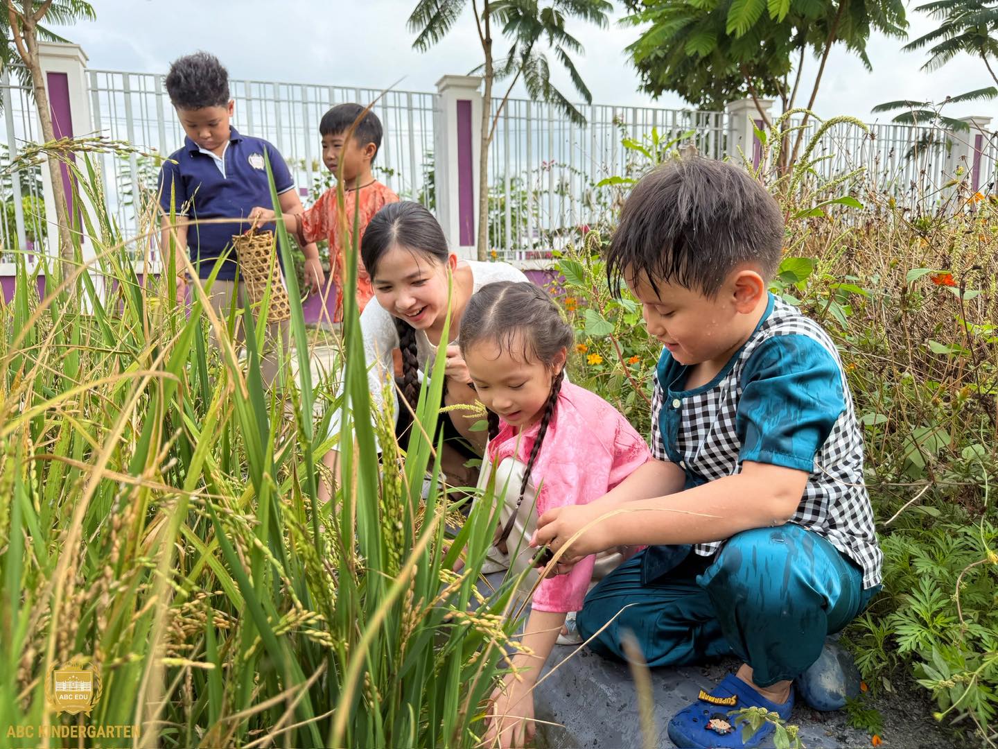 CHUYẾN XE MIỀN QUÊ – TRẢI NGHIỆM HỌC TẬP THÚ VỊ TẠI TRƯỜNG MẦM NON Á CHÂU LONG THÀNH