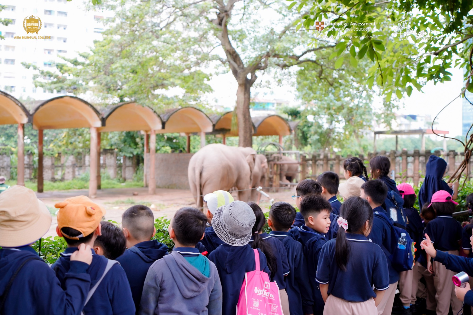HÀNH TRÌNH KHÁM PHÁ THẢO CẦM VIÊN CÙNG HỌC SINH KHỐI 2 TRƯỜNG SONG NGỮ Á CHÂU