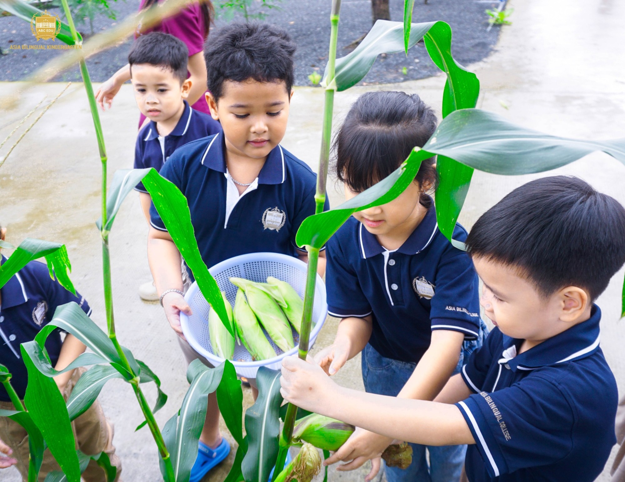 BÉ KHÁM PHÁ VƯỜN SỚM MAI – HÀNH TRÌNH HỌC TỪ THIÊN NHIÊN